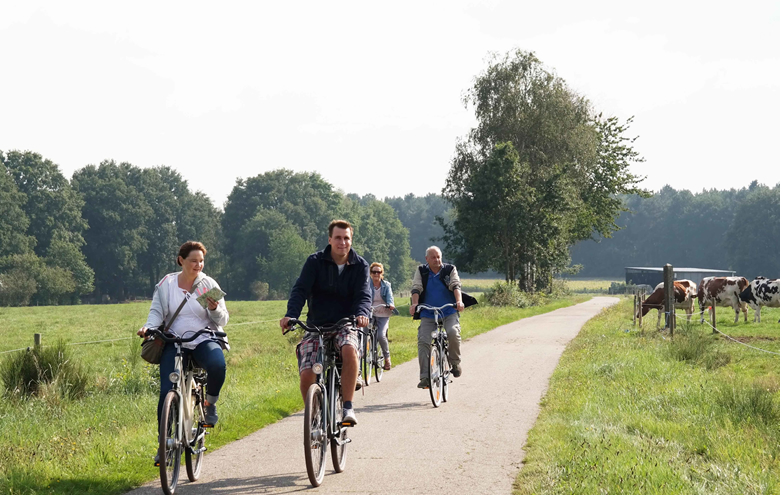 Midden-Limburg: fietsen in vlak landschap