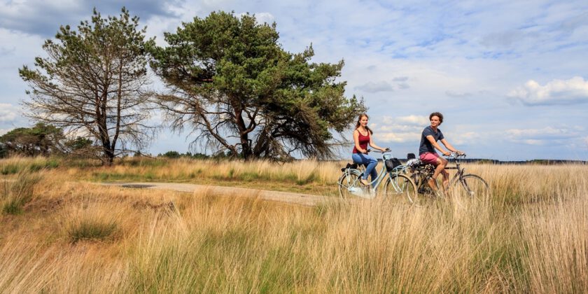 Ontdek het mooie van de Veluwe