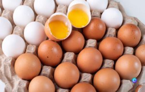 Aantrekkingskracht Goed opgeleid meest De prijzen voor eieren zijn in Spanje bijna 30 procent gestegen –  Camperclub Skeller