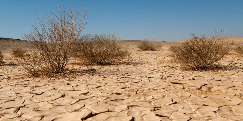 De droogte in Spanje