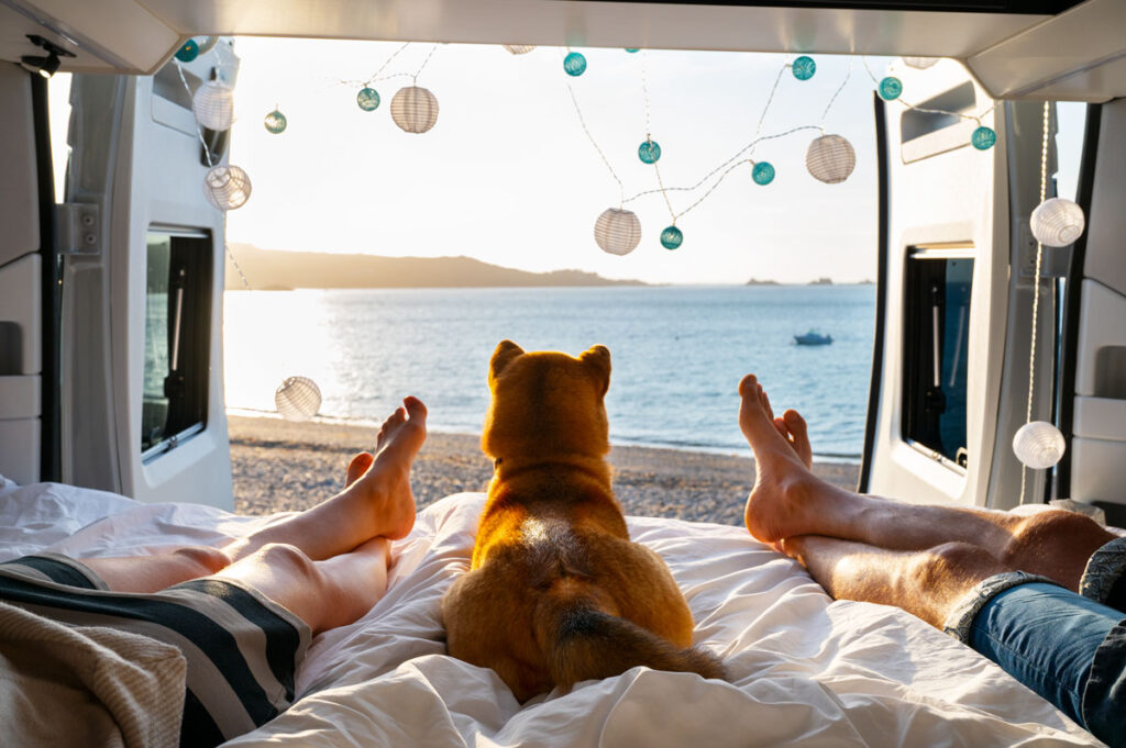 Op motorhomevakantie met je hond? 9 handige tips